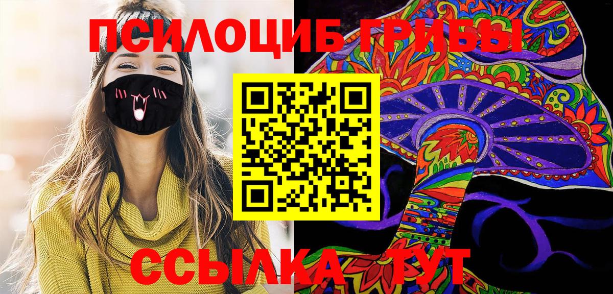 Белогорск  Галлюциногенные грибы Psilocybe  Вход с VPN 